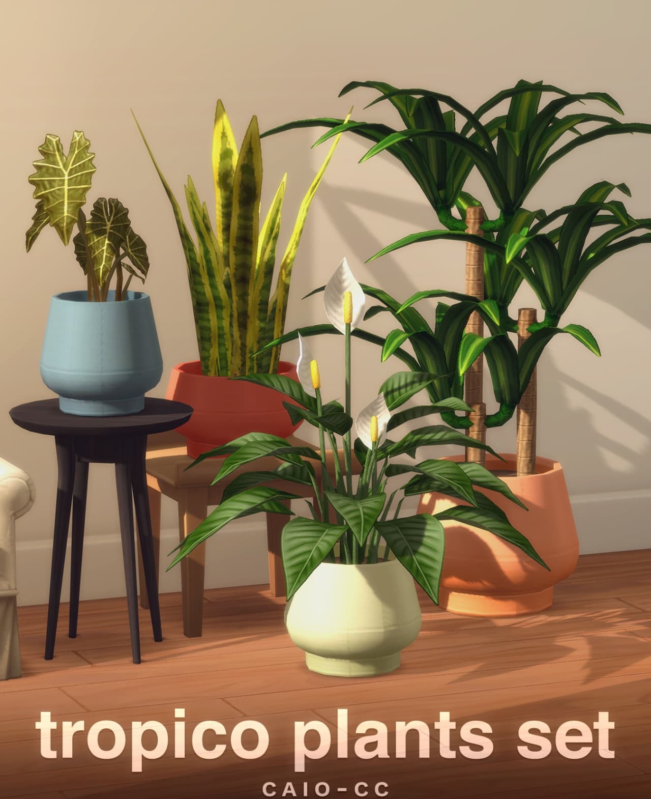 Комнатные цветы в горшках Tropico Plants